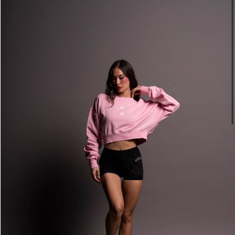 (ISO) WOLF HEAD KANJI AVA CREWNECK IN CHERRY BLOSSOM SIZE XS